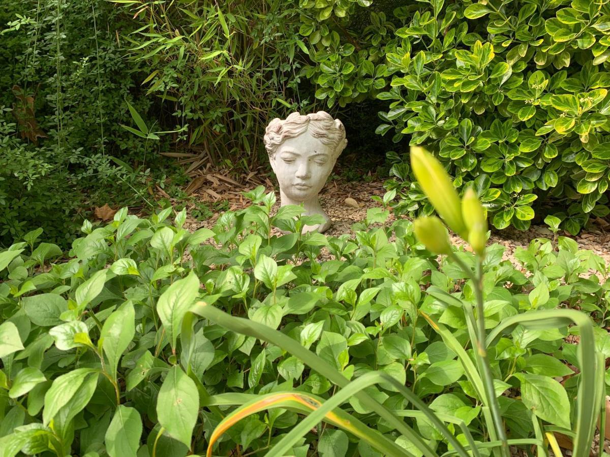 Gite Bastide Lagremuse Apartment Sarrians Luaran gambar